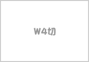 W4切